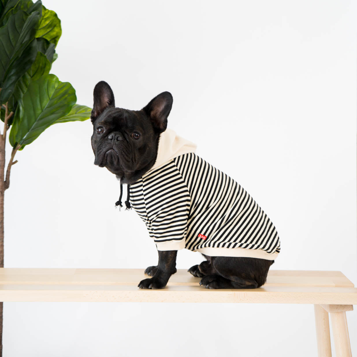 Striped Hoodie for French Bulldogs