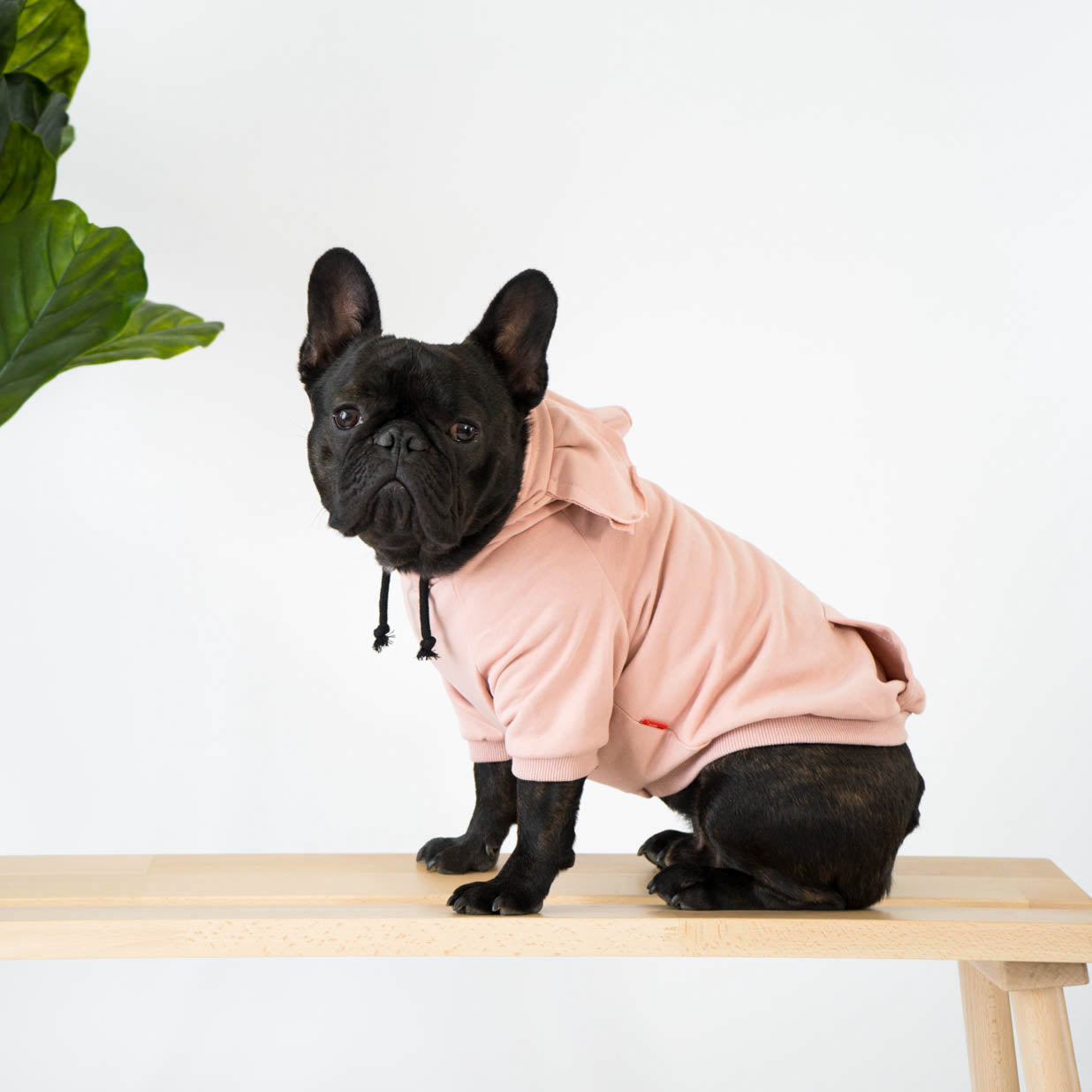 Cotton dog clothes best sale