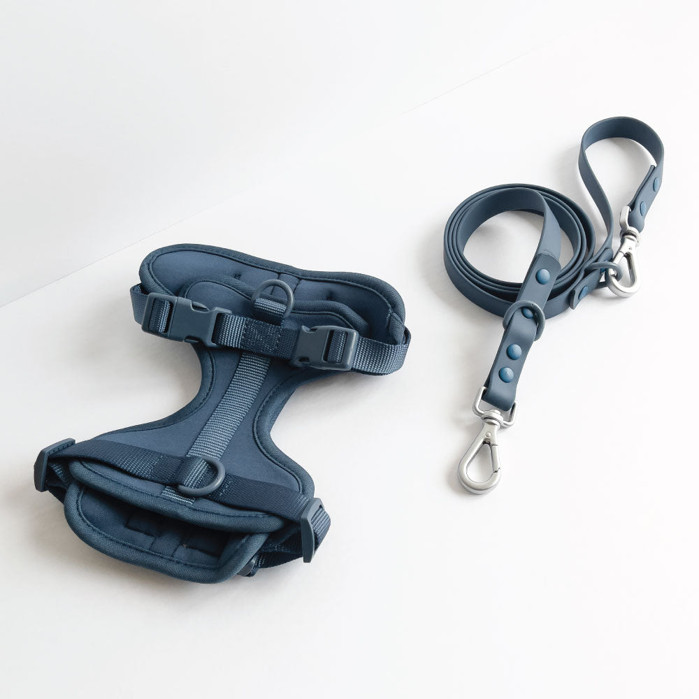 Navy Blue Harness and Leash Set