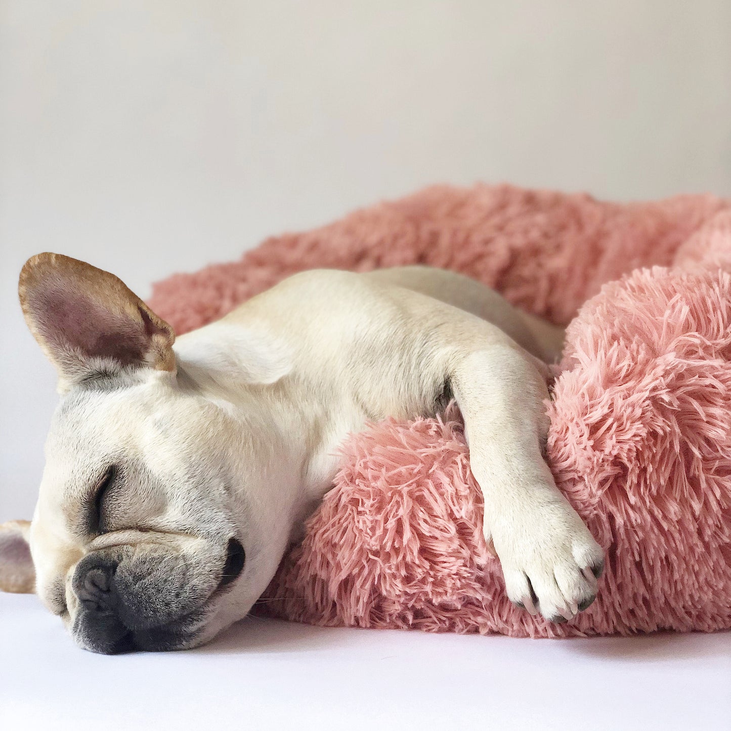 Fluffy Round Dog Bed