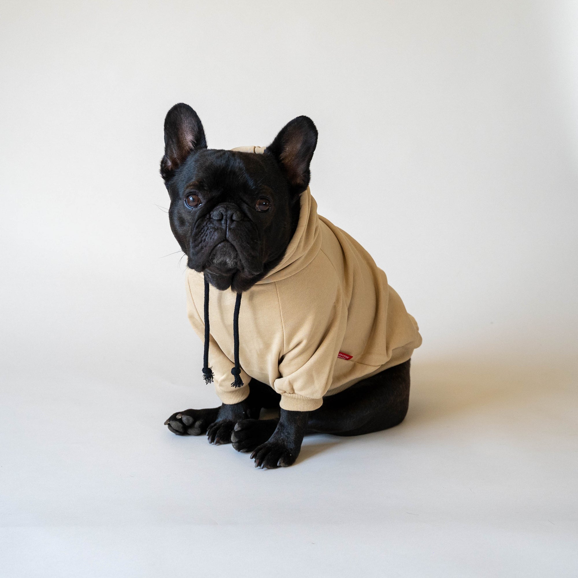 Embroidered Cotton Dog Hoodie - Beige