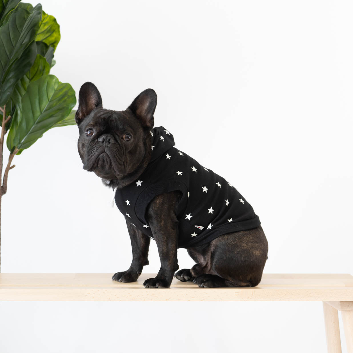 Printed Sleeveless Dog Hoodie