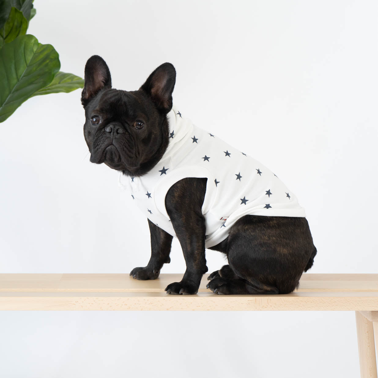 Printed Sleeveless Dog Hoodie