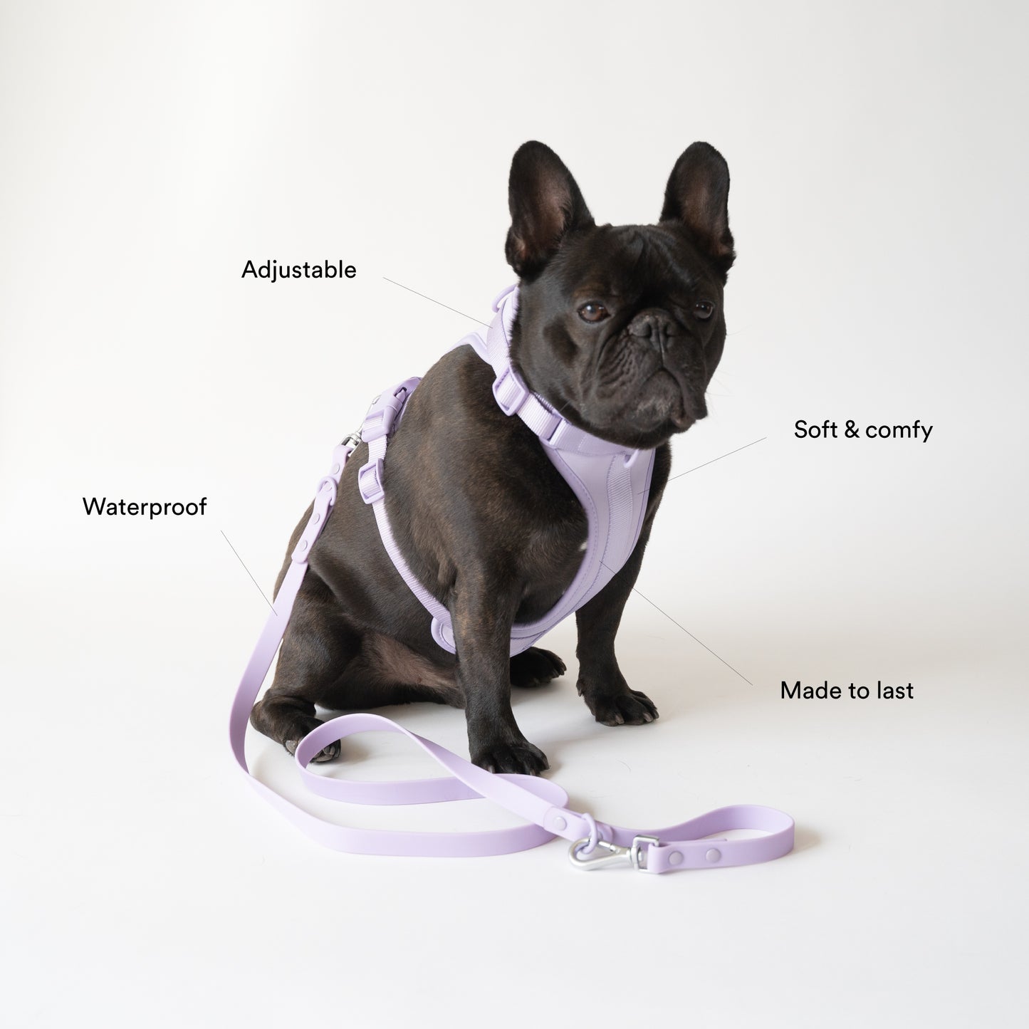 Green Harness and Leash Set