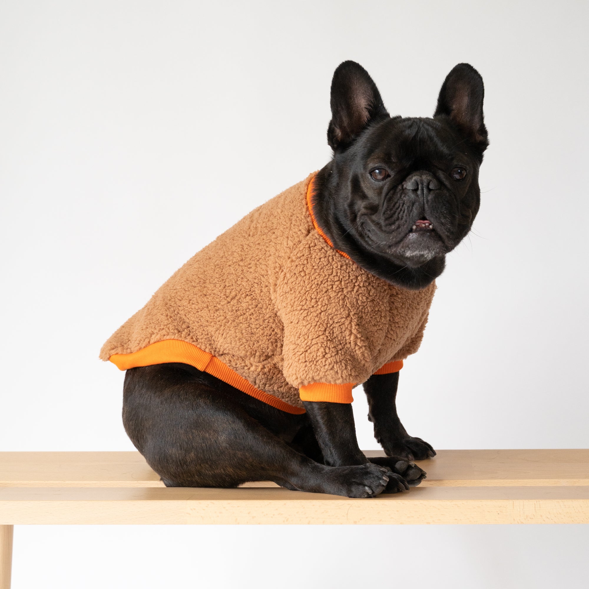 Dog fleeces fashion and jumpers