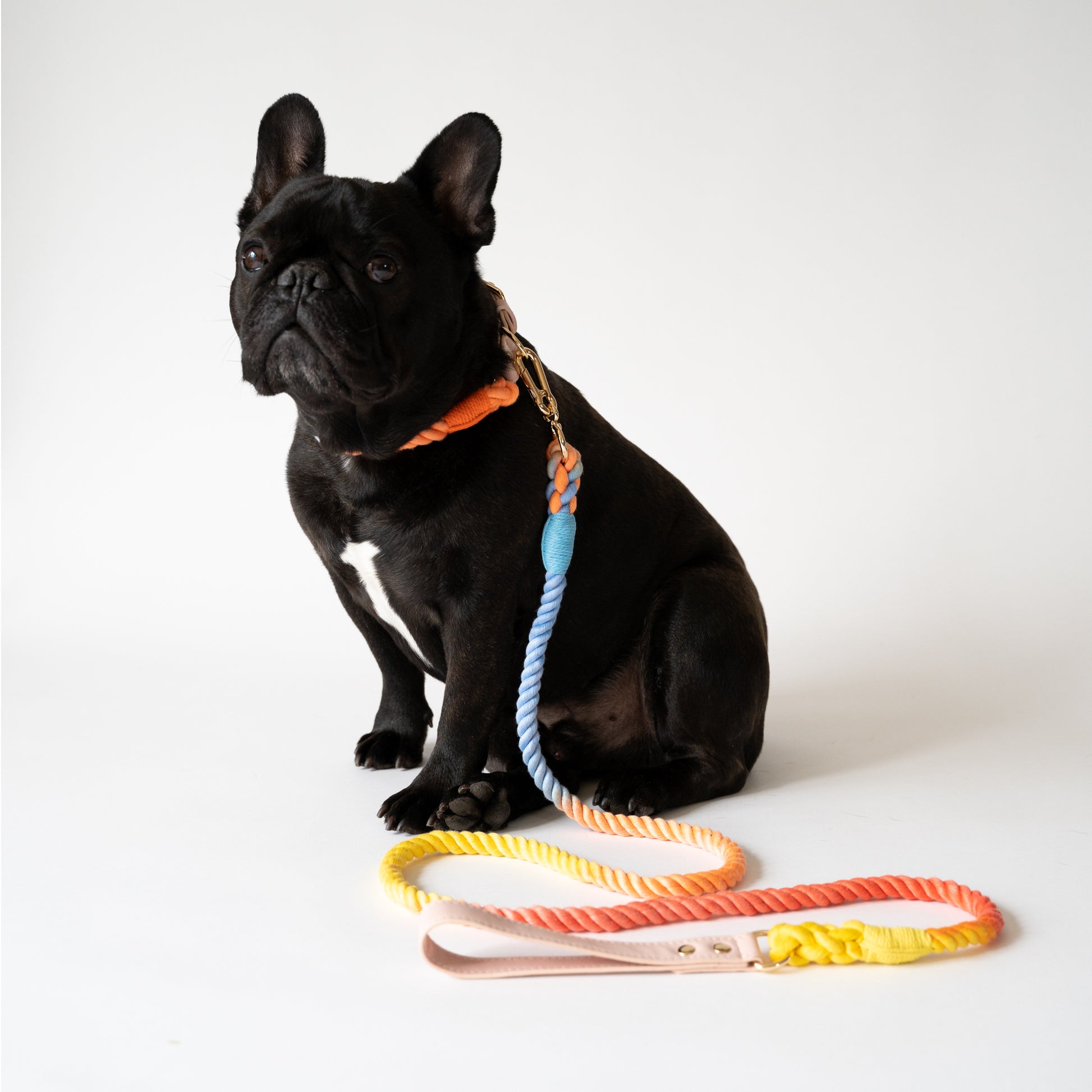 cotton collar and leash set