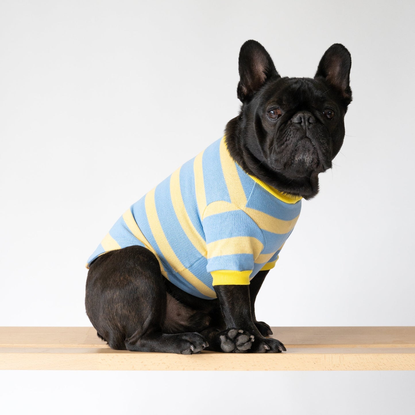 Striped Cotton Knit Dog Shirt