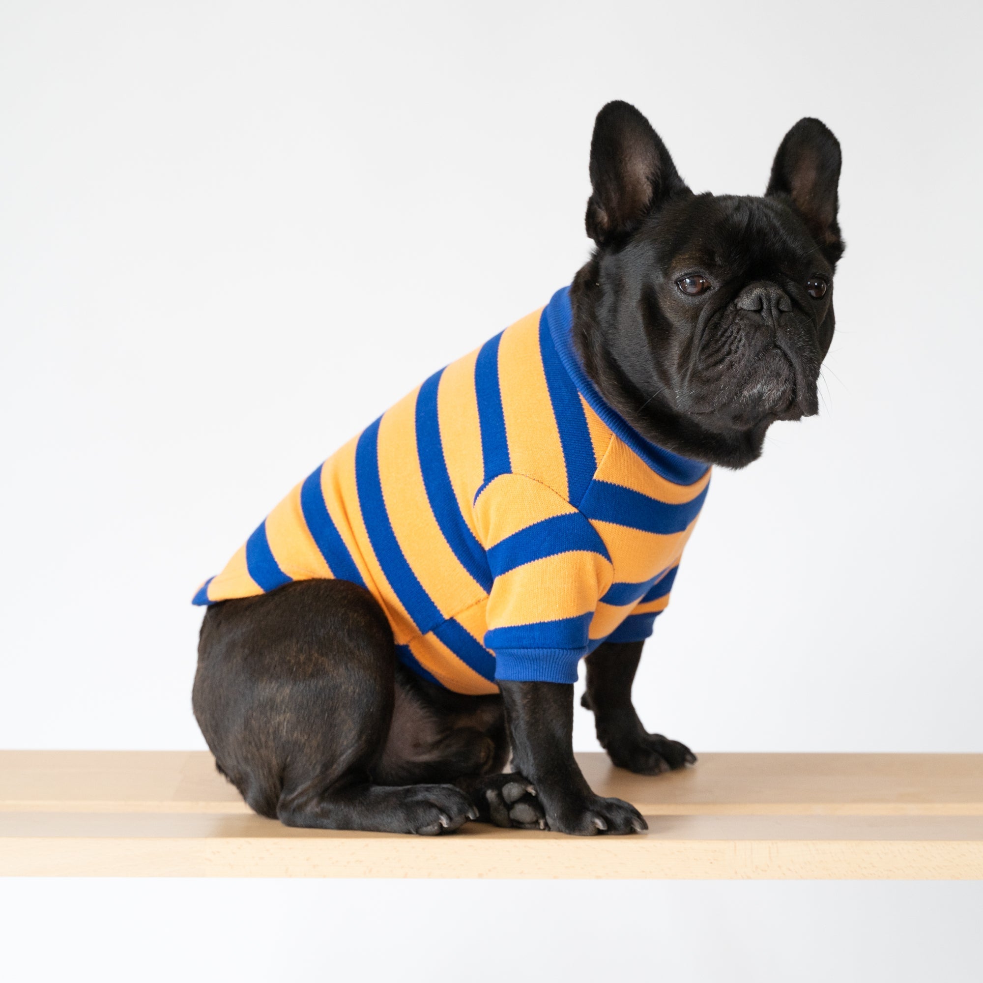 Striped Cotton Knit Dog Shirt