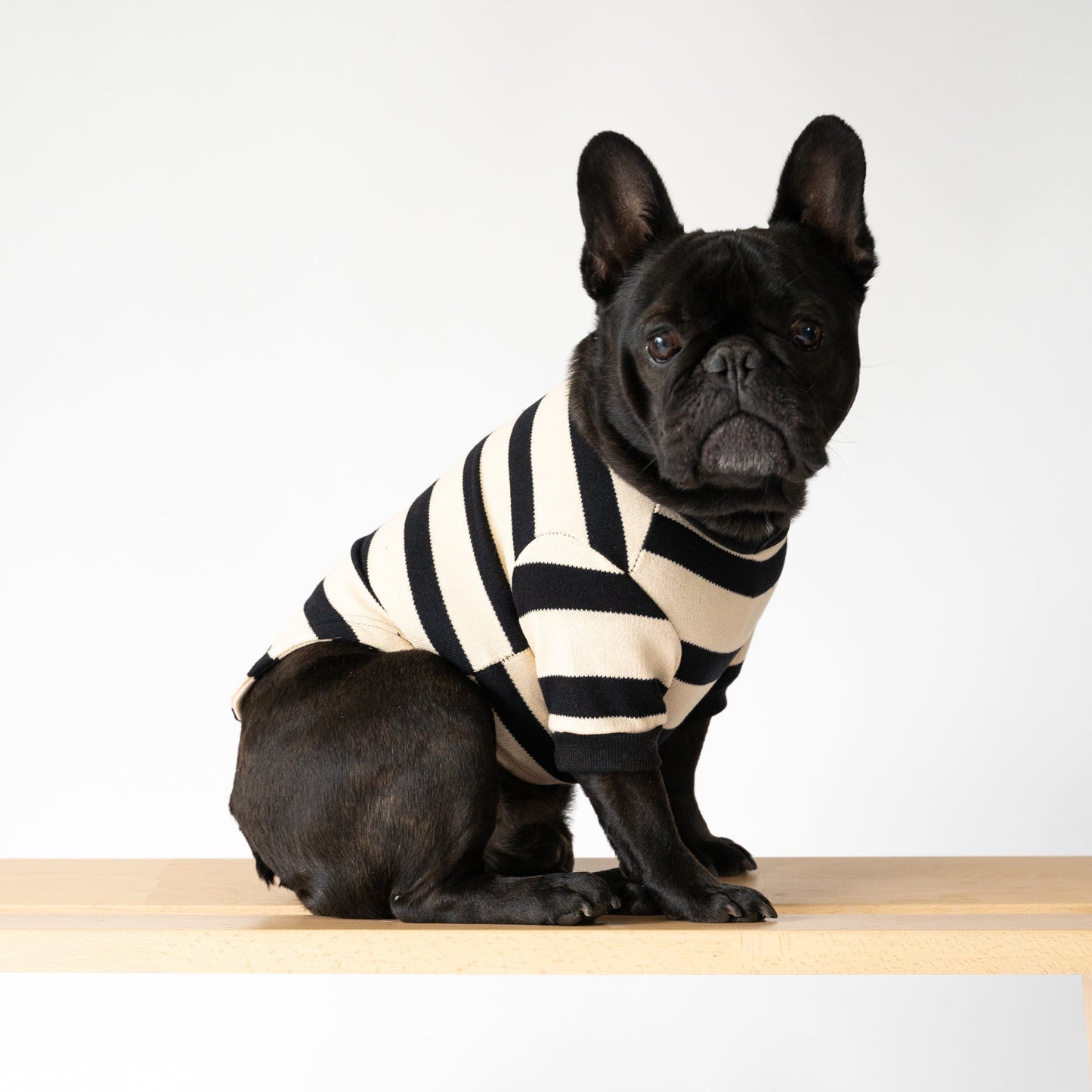 Striped Cotton Knit Dog Shirt