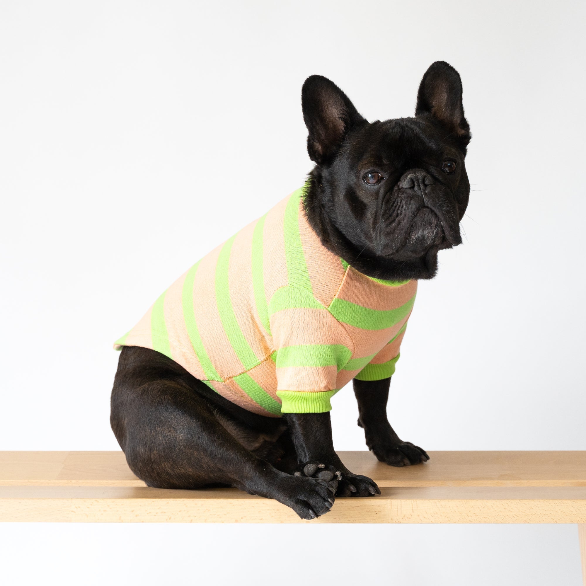 Striped Cotton Knit Dog Shirt