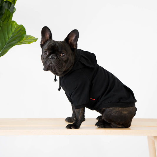 Black Hoodie with Ears for French Bulldogs