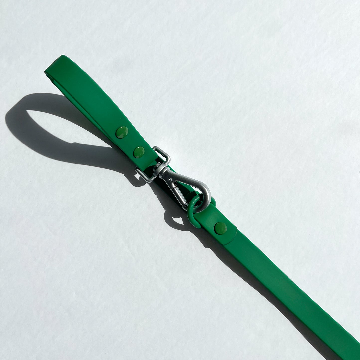 Green Harness and Leash Set