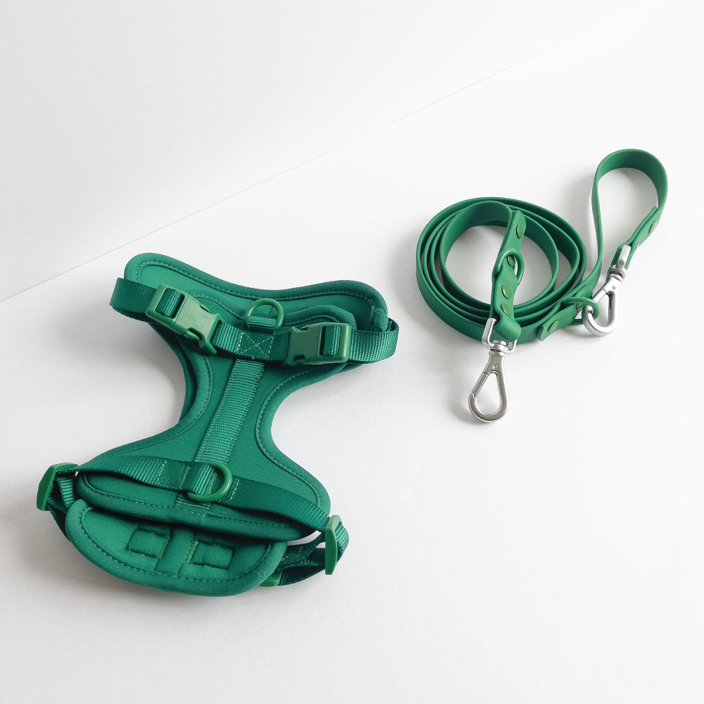 Green Harness and Leash Set