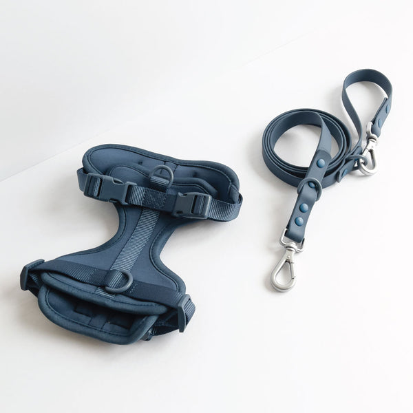 Harness and Leash Sets House of Barkley