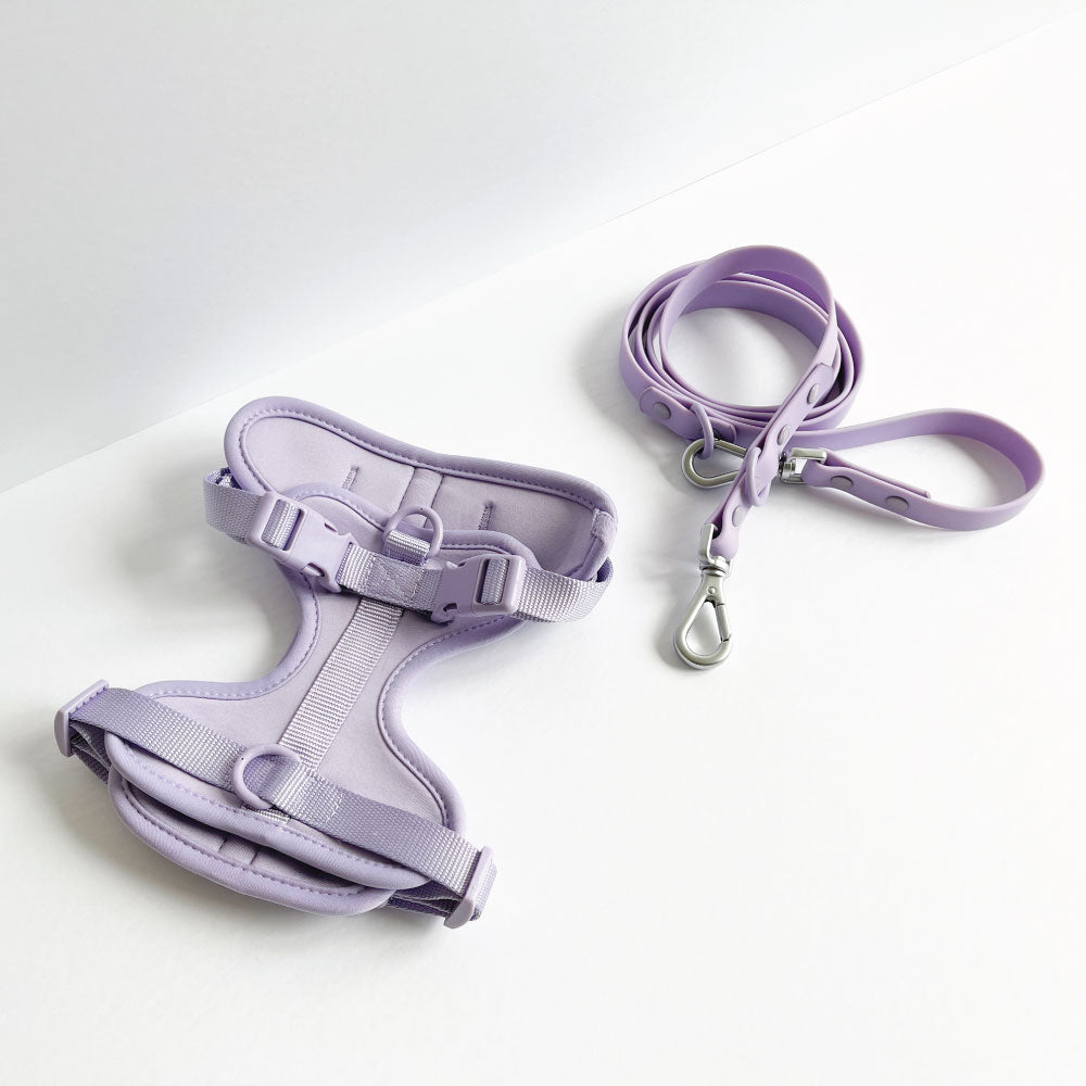 Lilac Harness and Leash Set